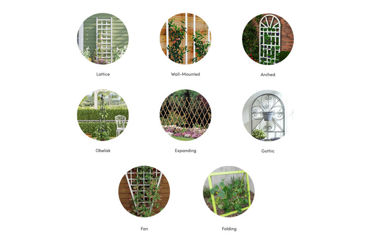 What Is a Trellis? Wayfair Canada